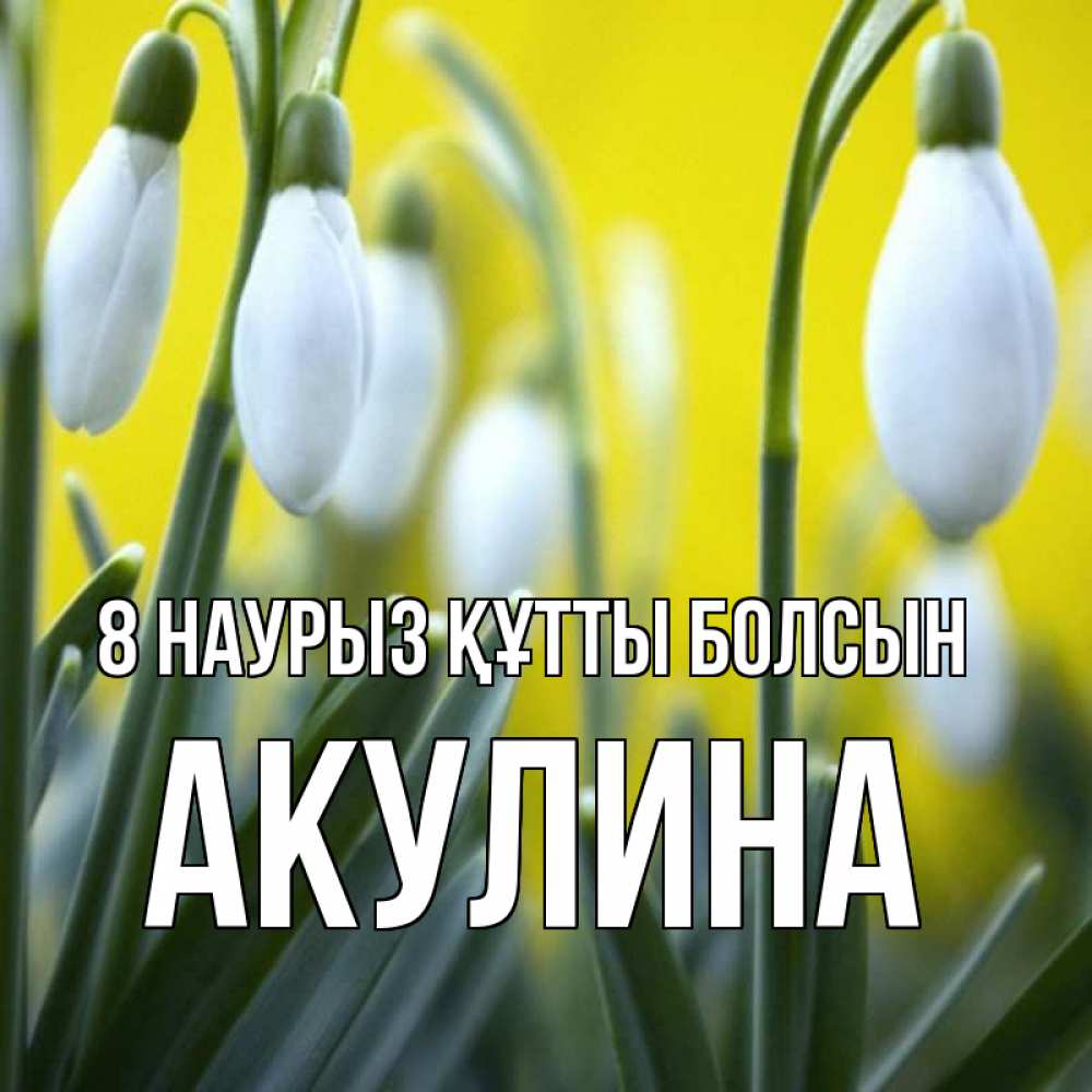 Күн сайын ашық хат с именем, Акулина 8 наурыз құтты болсын весенние цветы Онлайн тегін жүктеп алу тілектері бар керемет карта 