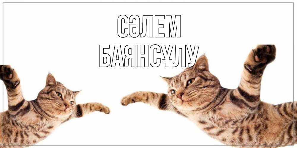 Күн сайын ашық хат с именем, БАЯНСҰЛУ Сәлем кот Онлайн тегін жүктеп алу тілектері бар керемет карта 