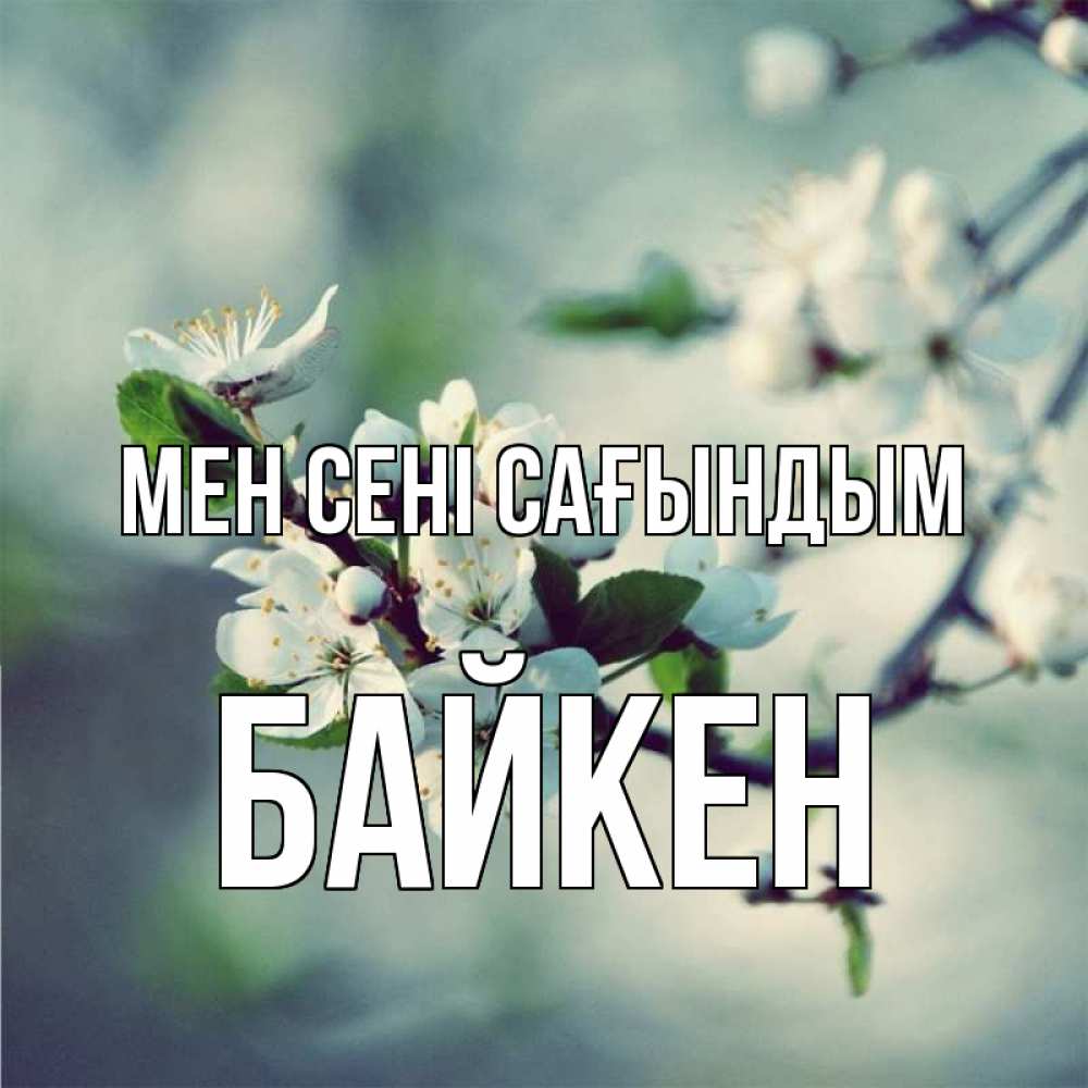Күн сайын ашық хат с именем, Байкен Мен сені сағындым весна Онлайн тегін жүктеп алу тілектері бар керемет карта 