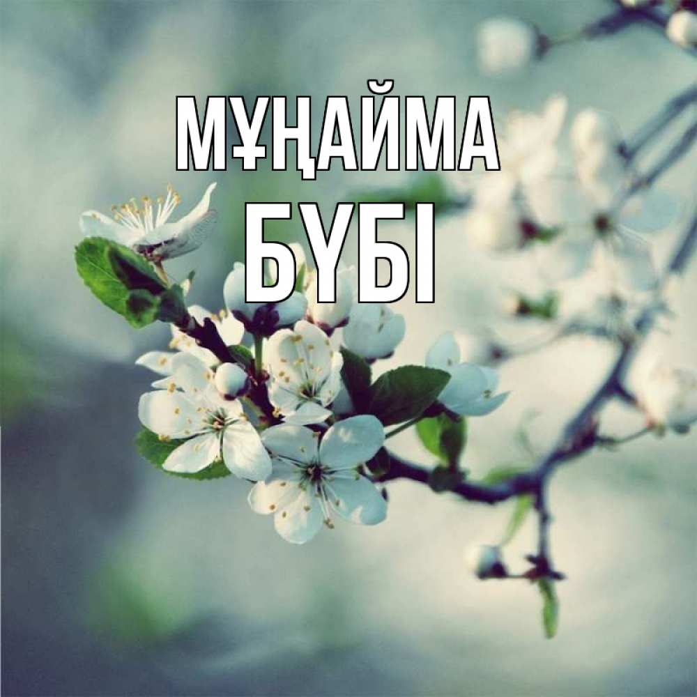 Күн сайын ашық хат с именем, БҮБІ Мұңайма яблоня в цвету 1 Онлайн тегін жүктеп алу тілектері бар керемет карта 