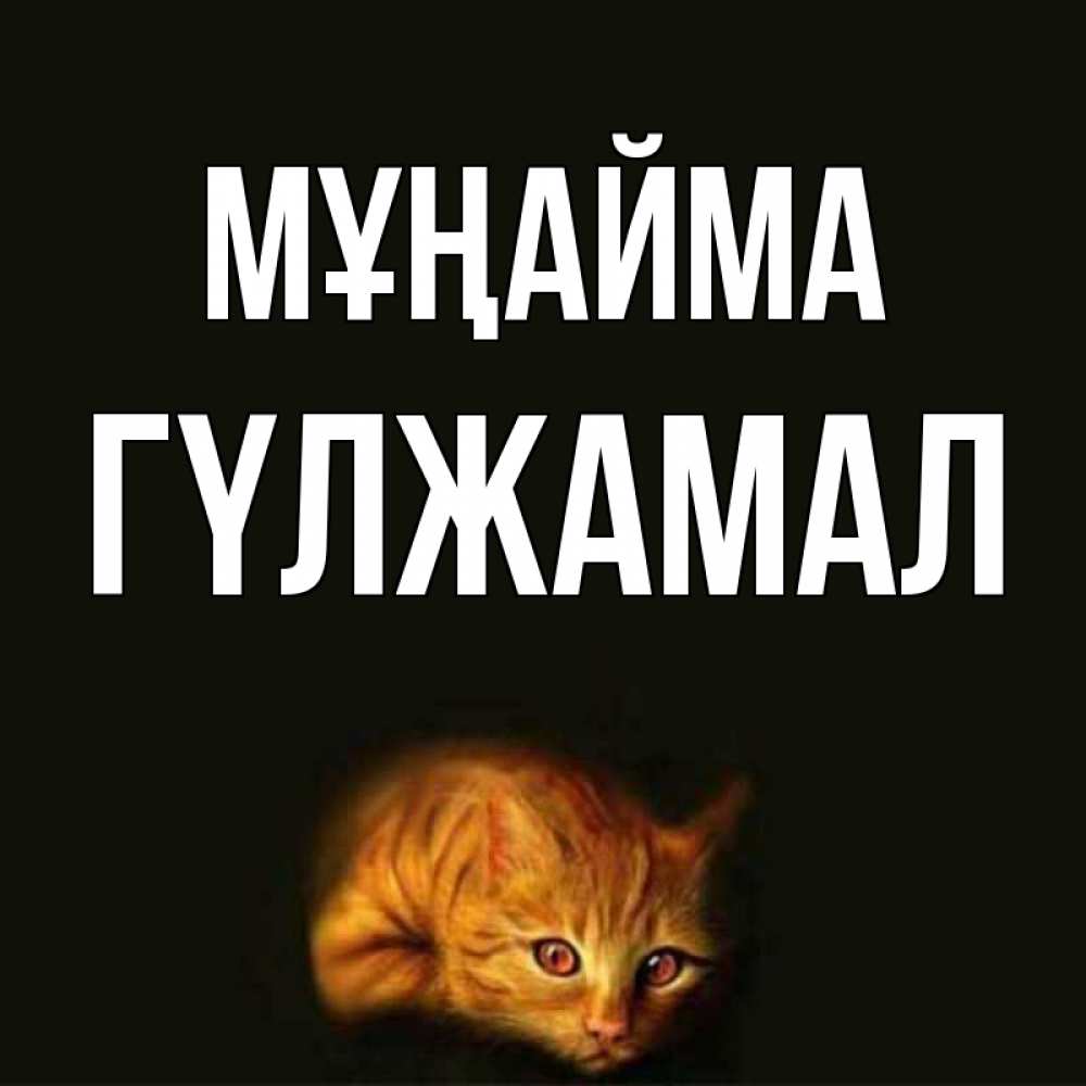 Күн сайын ашық хат с именем, ГҮЛЖАМАЛ Мұңайма лежащий кот в темноте Онлайн тегін жүктеп алу тілектері бар керемет карта 