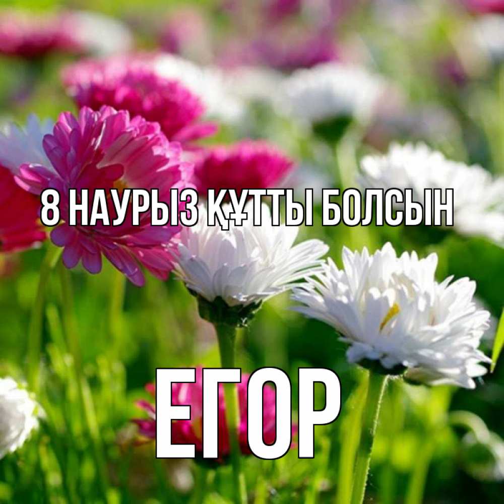 Күн сайын ашық хат с именем, Егор 8 наурыз құтты болсын международный женский день 1 Онлайн тегін жүктеп алу тілектері бар керемет карта 