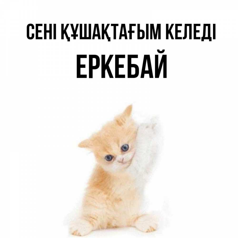 Күн сайын ашық хат с именем, Еркебай сені құшақтағым келеді я хочу очень скорее обнимаешек Онлайн тегін жүктеп алу тілектері бар керемет карта 