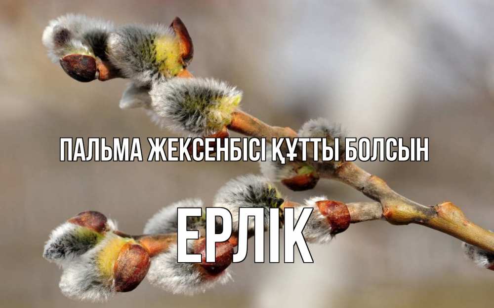 Күн сайын ашық хат с именем, Ерлік Пальма жексенбісі құтты болсын Верба Онлайн тегін жүктеп алу тілектері бар керемет карта 