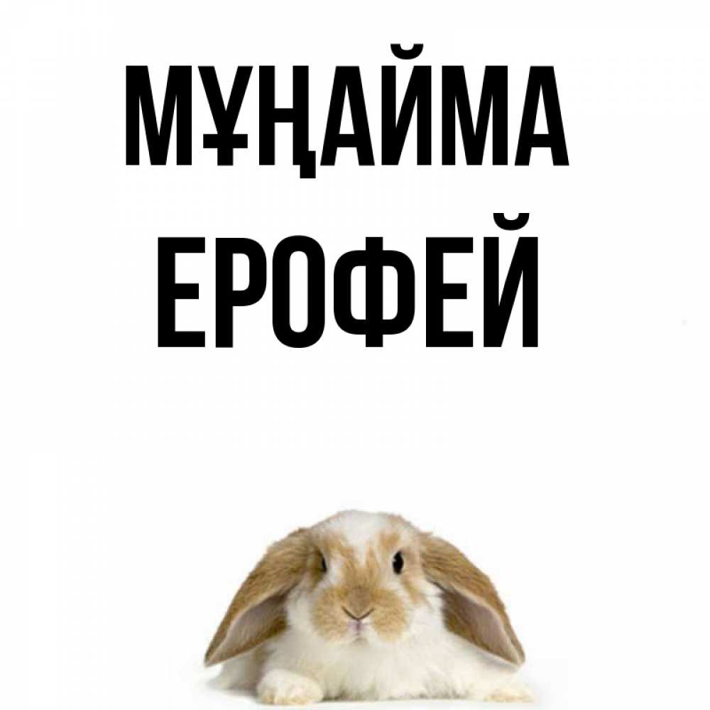 Күн сайын ашық хат с именем, Ерофей Мұңайма коричнево белый заяц с большими ушками Онлайн тегін жүктеп алу тілектері бар керемет карта 
