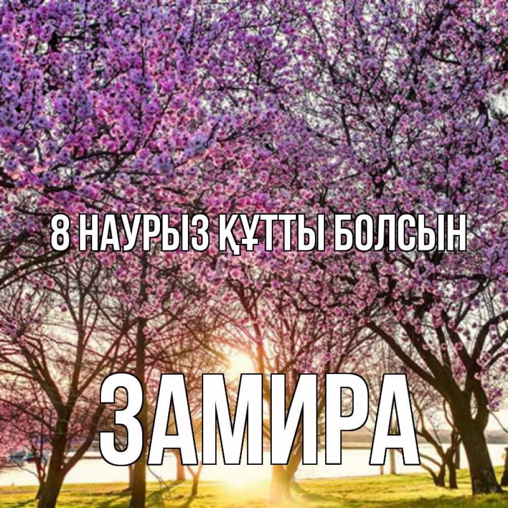 Күн сайын ашық хат с именем, ЗАМИРА 8 наурыз құтты болсын международный женский день Онлайн тегін жүктеп алу тілектері бар керемет карта 