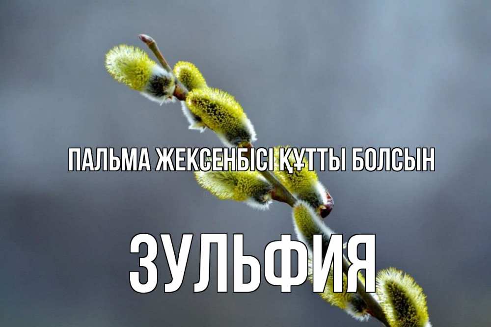 Күн сайын ашық хат с именем, Зульфия Пальма жексенбісі құтты болсын верба Онлайн тегін жүктеп алу тілектері бар керемет карта 