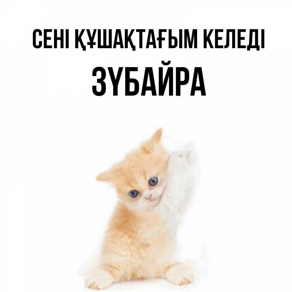 Күн сайын ашық хат с именем, ЗҮБАЙРА сені құшақтағым келеді я хочу очень скорее обнимаешек Онлайн тегін жүктеп алу тілектері бар керемет карта 