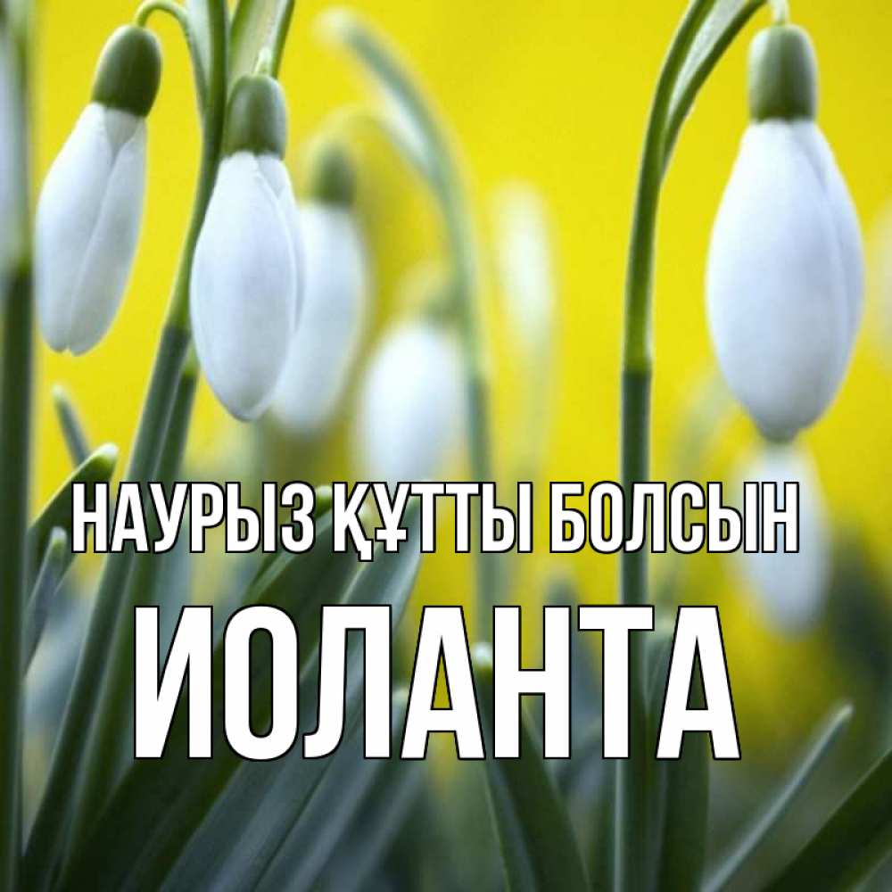 Күн сайын ашық хат с именем, Иоланта Наурыз құтты болсын весенние цветы Онлайн тегін жүктеп алу тілектері бар керемет карта 
