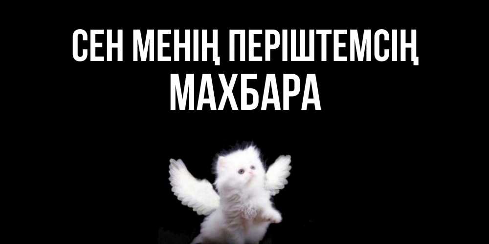 Күн сайын ашық хат с именем, МАХБАРА Сен менің періштемсің Кот ангел Онлайн тегін жүктеп алу тілектері бар керемет карта 