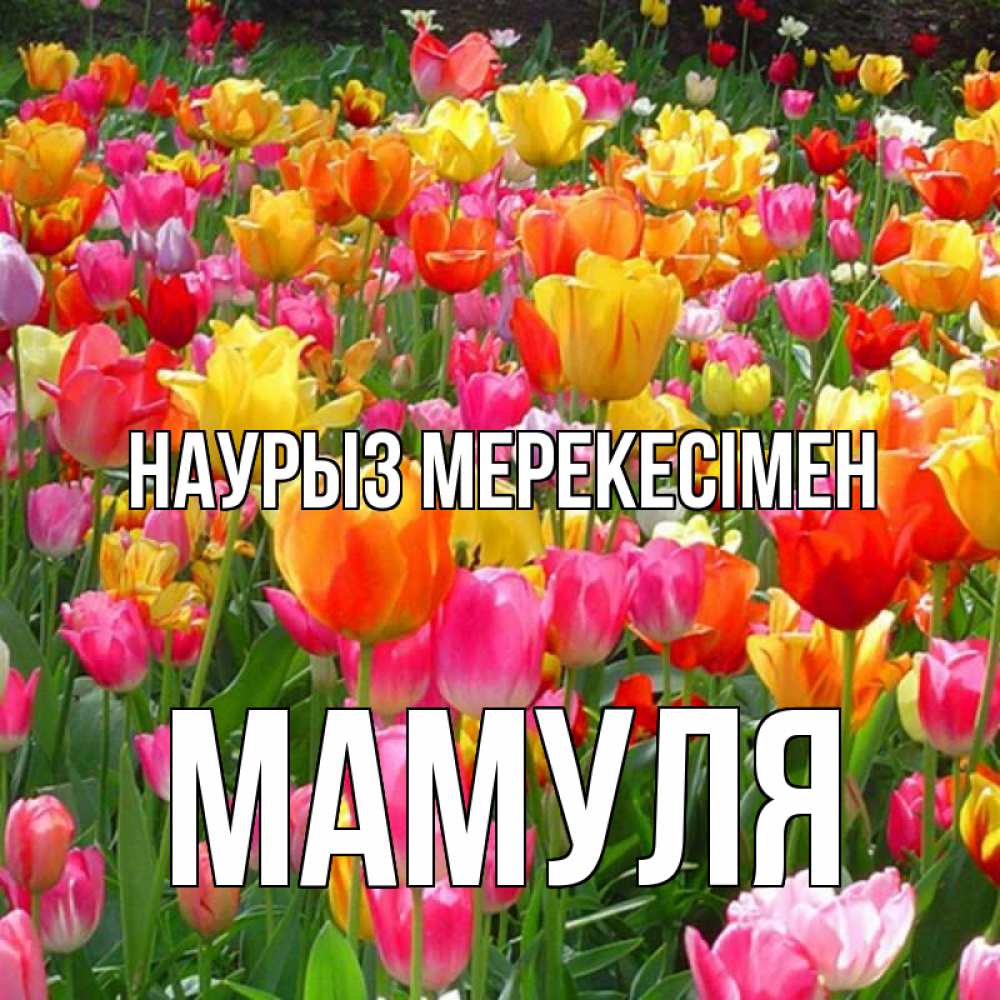 Күн сайын ашық хат с именем, Мамуля Наурыз мерекесімен праздник весны наурыз 4 Онлайн тегін жүктеп алу тілектері бар керемет карта 