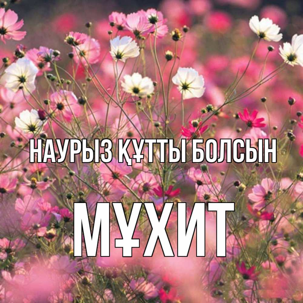 Күн сайын ашық хат с именем, МҰХИТ Наурыз құтты болсын красиво 1 Онлайн тегін жүктеп алу тілектері бар керемет карта 