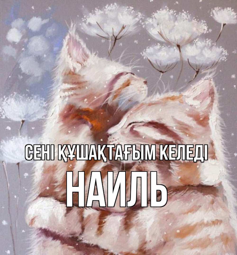 Күн сайын ашық хат с именем, Наиль сені құшақтағым келеді Море и горы Онлайн тегін жүктеп алу тілектері бар керемет карта 