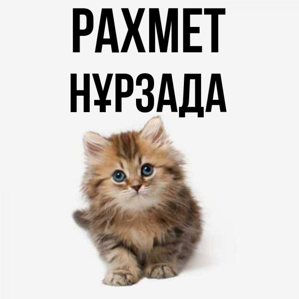 Күн сайын ашық хат с именем, НҰРЗАДА рахмет пушистый котик Онлайн тегін жүктеп алу тілектері бар керемет карта 