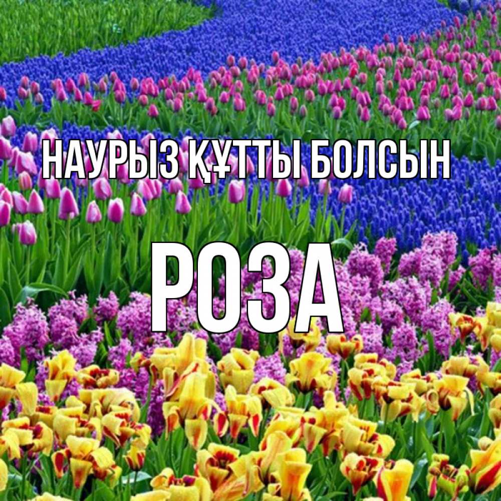 Күн сайын ашық хат с именем, РОЗА Наурыз құтты болсын цветы Онлайн тегін жүктеп алу тілектері бар керемет карта 