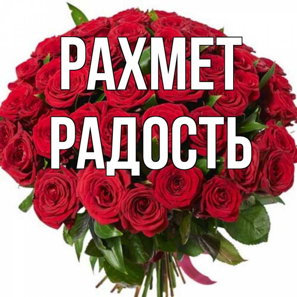 Күн сайын ашық хат с именем, Радость рахмет букет красных роз Онлайн тегін жүктеп алу тілектері бар керемет карта 