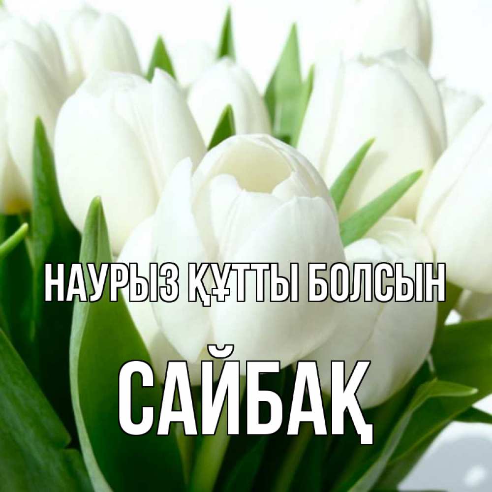 Күн сайын ашық хат с именем, САЙБАҚ Наурыз құтты болсын цветы Онлайн тегін жүктеп алу тілектері бар керемет карта 