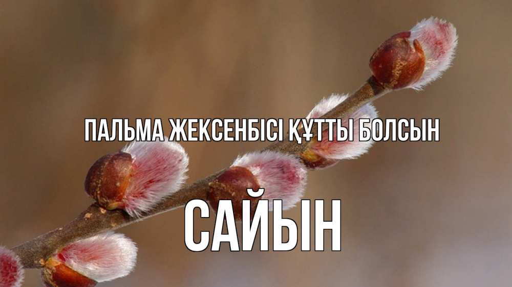 Күн сайын ашық хат с именем, САЙЫН Пальма жексенбісі құтты болсын верба Онлайн тегін жүктеп алу тілектері бар керемет карта 