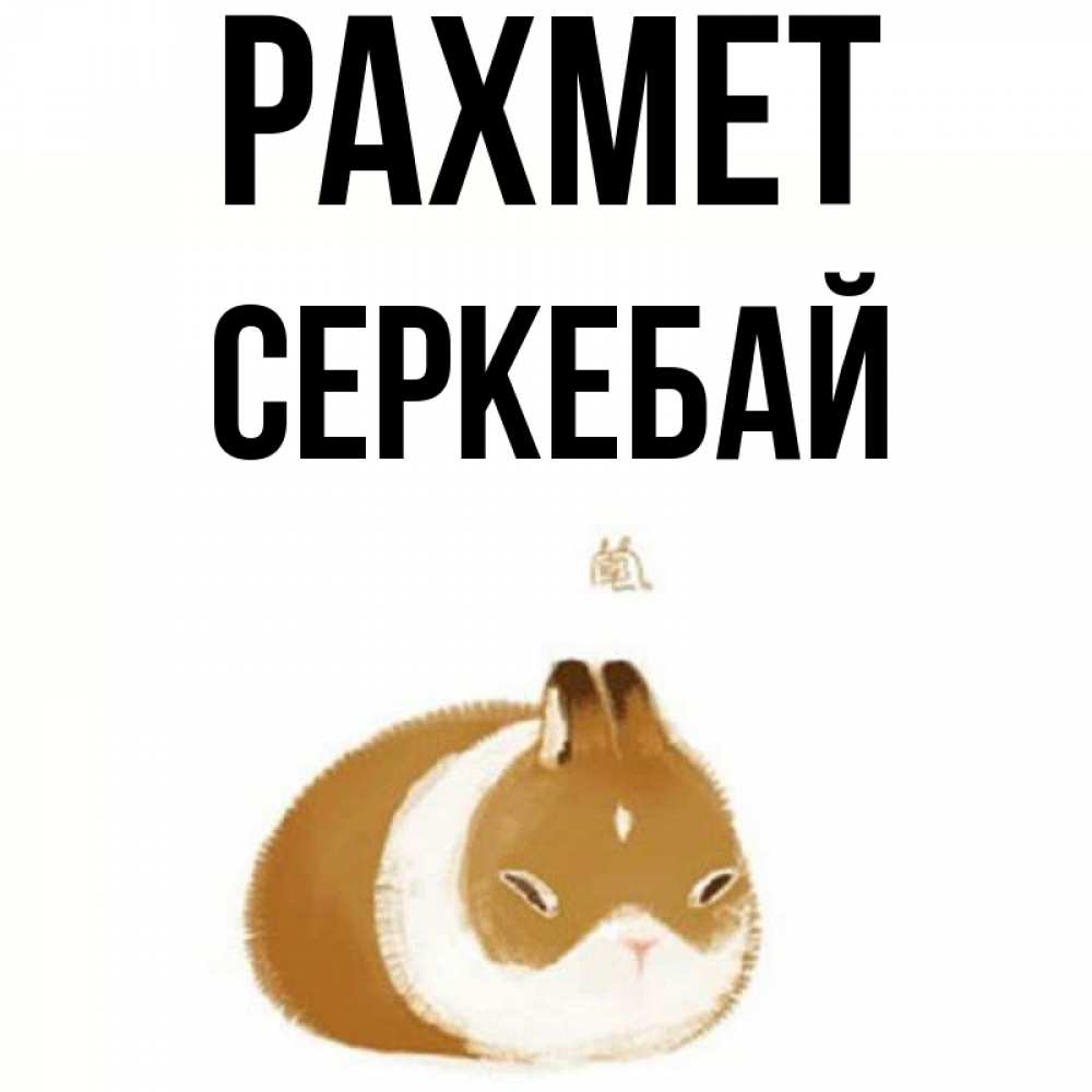 Күн сайын ашық хат с именем, СЕРКЕБАЙ рахмет коричнево белый домашний питомец Онлайн тегін жүктеп алу тілектері бар керемет карта 