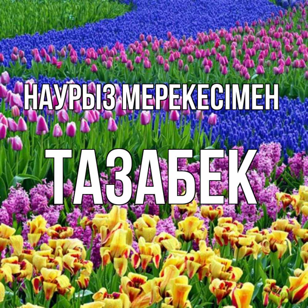 Күн сайын ашық хат с именем, ТАЗАБЕК Наурыз мерекесімен цветы Онлайн тегін жүктеп алу тілектері бар керемет карта 