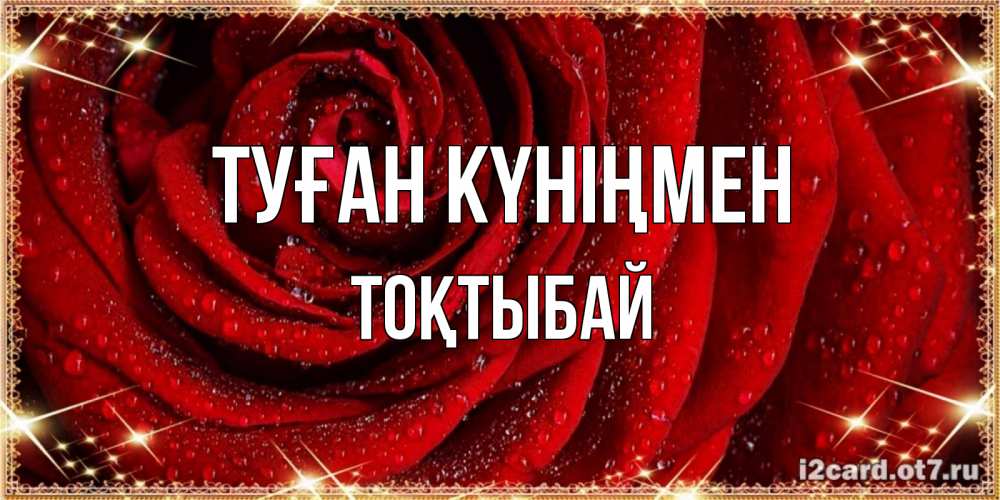 Күн сайын ашық хат с именем, ТОҚТЫБАЙ Туған күніңмен роса на розе блестящая в лучах солнца Онлайн тегін жүктеп алу тілектері бар керемет карта 