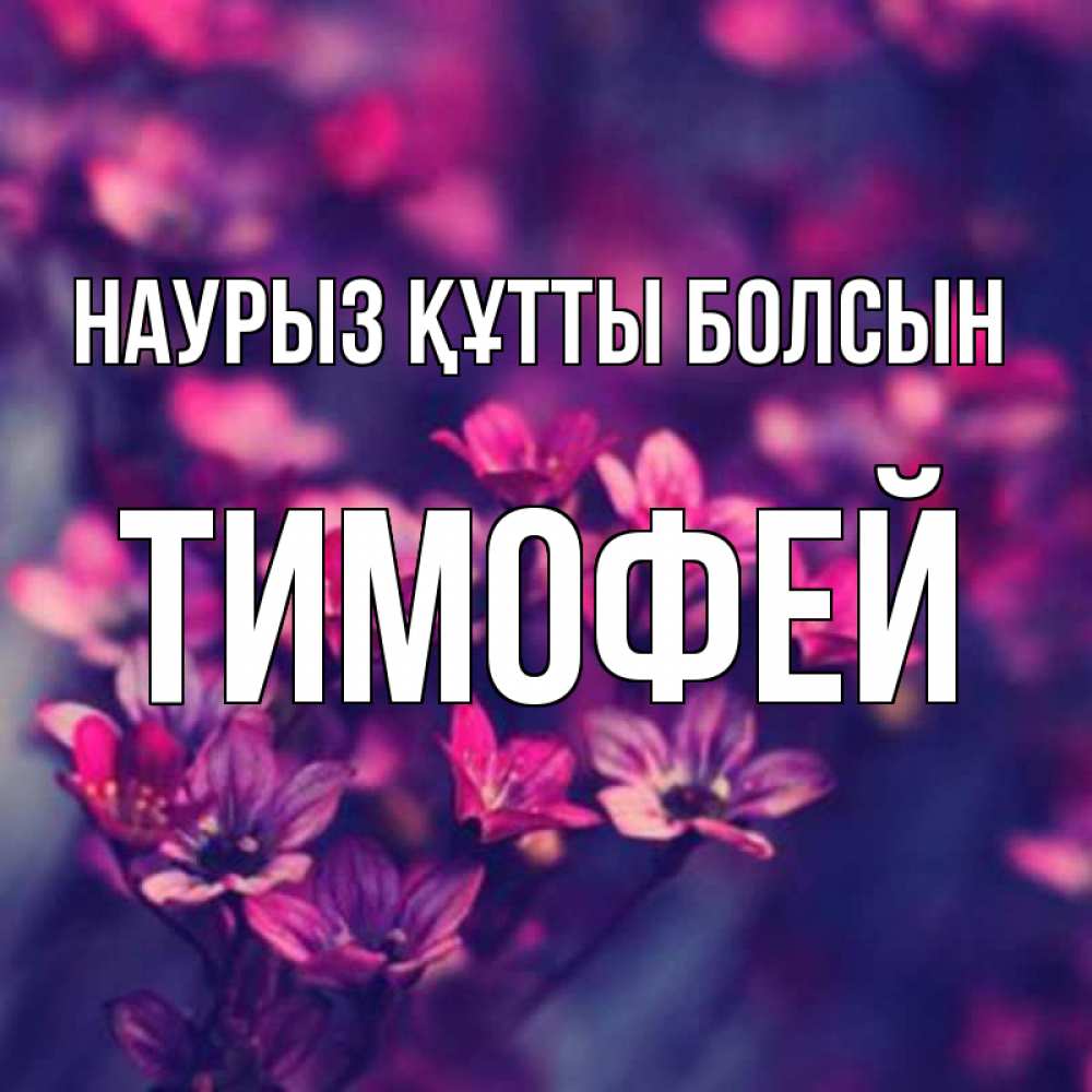Күн сайын ашық хат с именем, Тимофей Наурыз құтты болсын небольшие цветы 1 Онлайн тегін жүктеп алу тілектері бар керемет карта 
