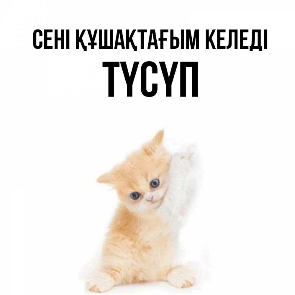Күн сайын ашық хат с именем, ТҮСҮП сені құшақтағым келеді я хочу очень скорее обнимаешек Онлайн тегін жүктеп алу тілектері бар керемет карта 
