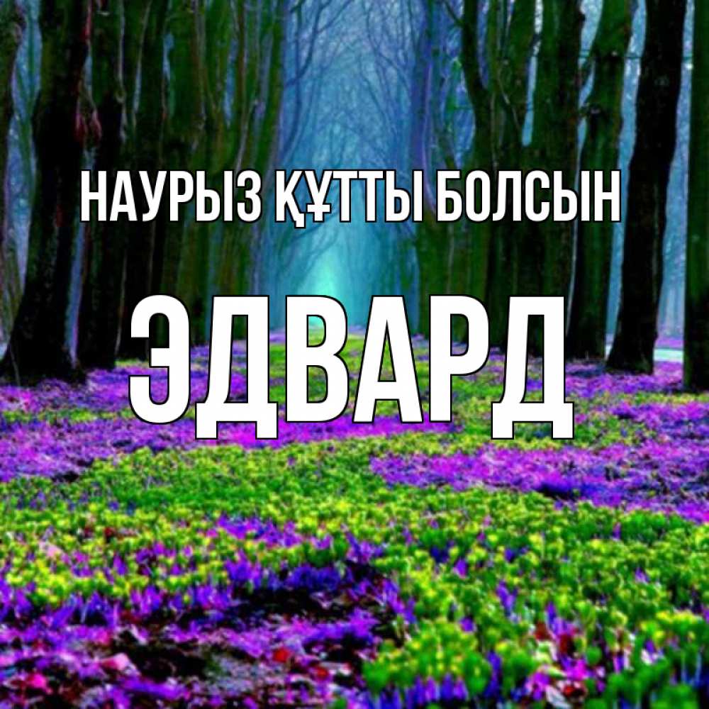 Күн сайын ашық хат с именем, Эдвард Наурыз құтты болсын фиолетовые цветы в лесу 1 Онлайн тегін жүктеп алу тілектері бар керемет карта 