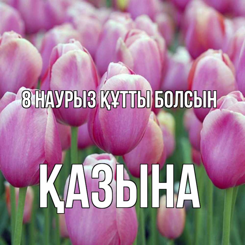 Күн сайын ашық хат с именем, ҚАЗЫНА 8 наурыз құтты болсын на международный женский день 3 Онлайн тегін жүктеп алу тілектері бар керемет карта 