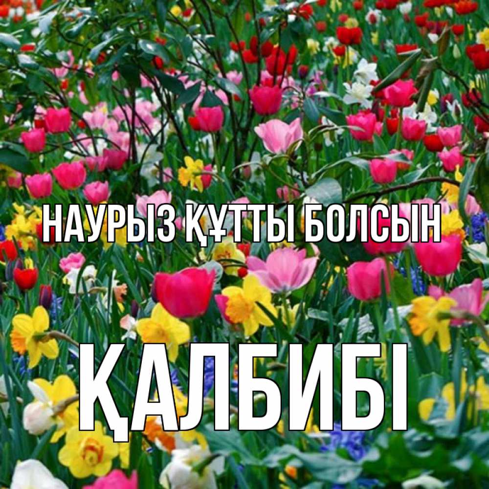 Күн сайын ашық хат с именем, ҚАЛБИБІ Наурыз құтты болсын с наурызом поздравления для женщины Онлайн тегін жүктеп алу тілектері бар керемет карта 