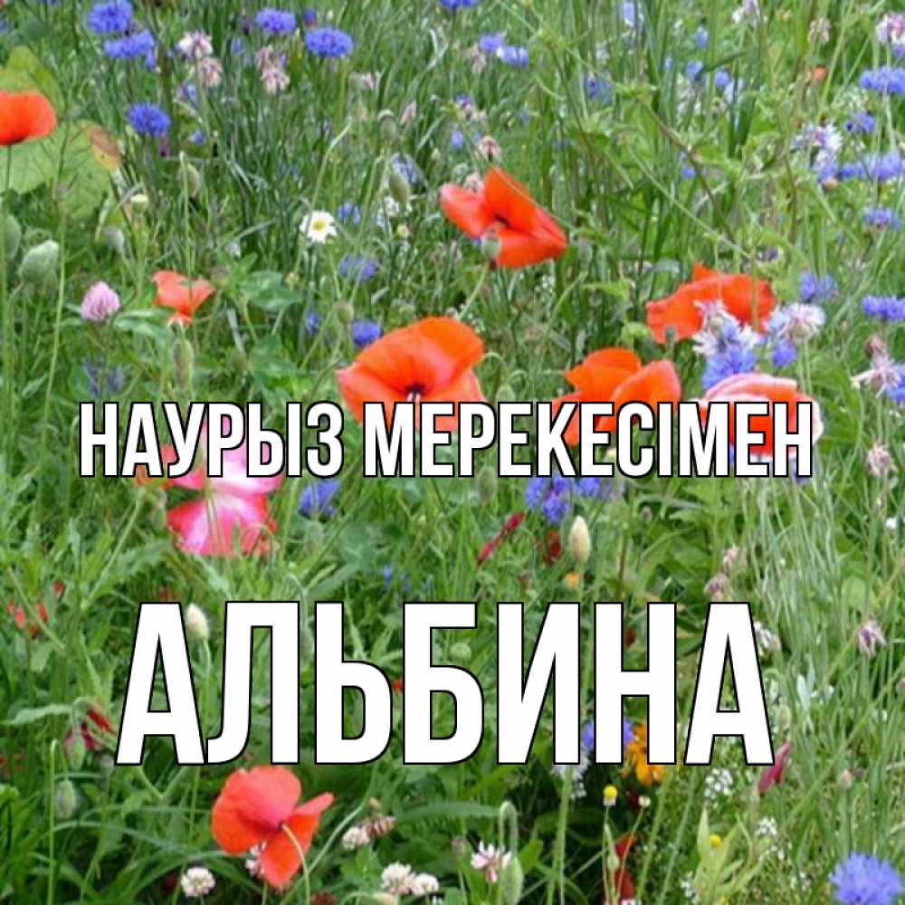 Күн сайын ашық хат с именем, Альбина Наурыз мерекесімен праздник весны наурыз супер открытка Онлайн тегін жүктеп алу тілектері бар керемет карта 