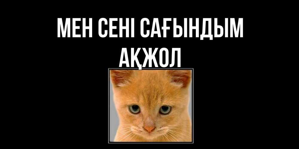 Күн сайын ашық хат с именем, Ақжол Мен сені сағындым открытки рыжий котенок скучает по тебе Онлайн тегін жүктеп алу тілектері бар керемет карта 
