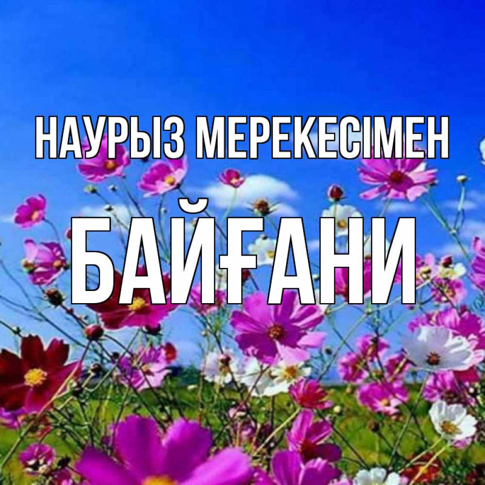 Күн сайын ашық хат с именем, Байғани Наурыз мерекесімен цветы Онлайн тегін жүктеп алу тілектері бар керемет карта 