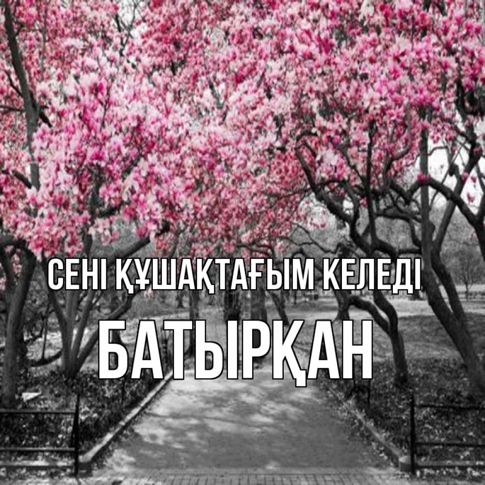 Күн сайын ашық хат с именем, Батырқан сені құшақтағым келеді обработанное фото Онлайн тегін жүктеп алу тілектері бар керемет карта 