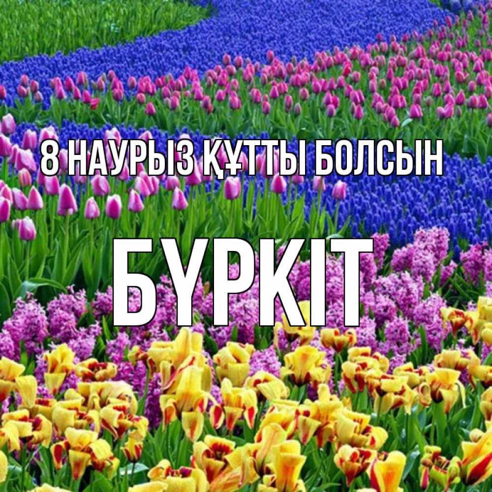 Күн сайын ашық хат с именем, Бүркіт 8 наурыз құтты болсын цветы Онлайн тегін жүктеп алу тілектері бар керемет карта 