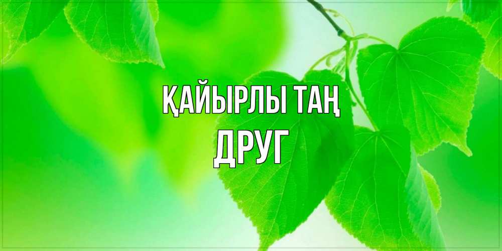 Күн сайын ашық хат с именем, Друг Қайырлы таң доброе утро с березовыми листьями Онлайн тегін жүктеп алу тілектері бар керемет карта 