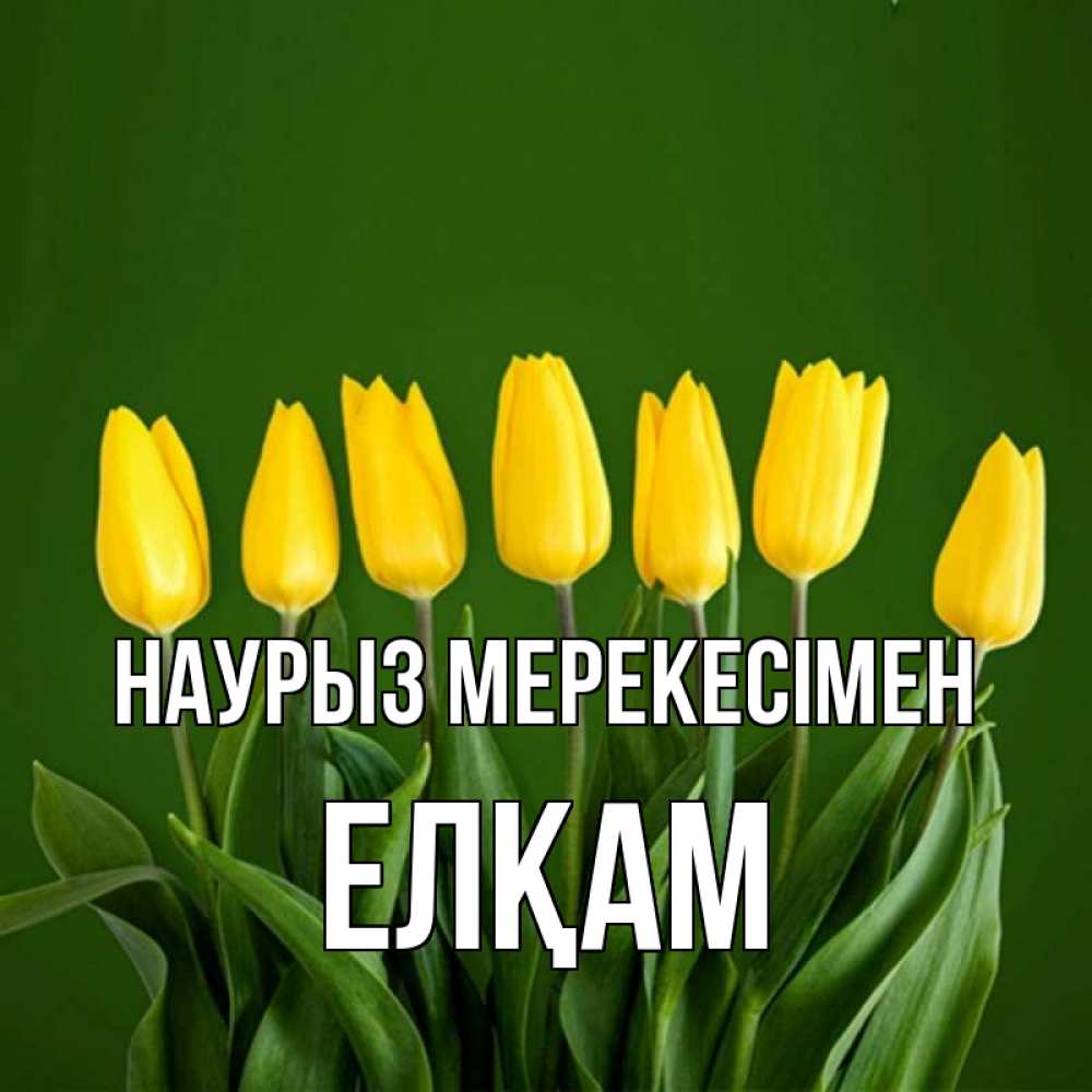 Күн сайын ашық хат с именем, Елқам Наурыз мерекесімен желтого цвета 3 Онлайн тегін жүктеп алу тілектері бар керемет карта 