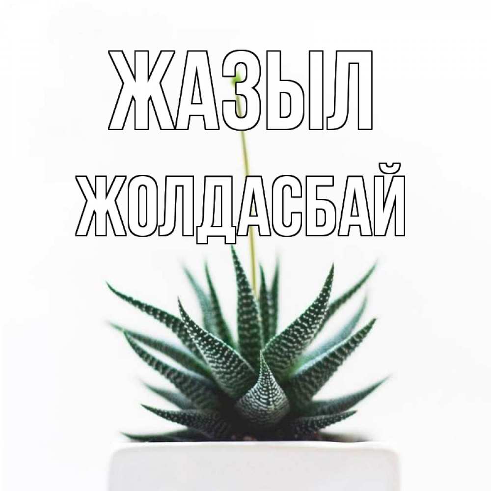 Күн сайын ашық хат с именем, Жолдасбай Жазыл короче это непонятная колючка Онлайн тегін жүктеп алу тілектері бар керемет карта 