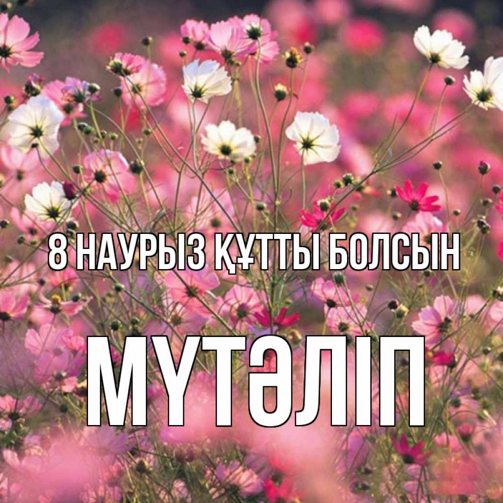 Күн сайын ашық хат с именем, МҮТӘЛІП 8 наурыз құтты болсын красиво 1 Онлайн тегін жүктеп алу тілектері бар керемет карта 
