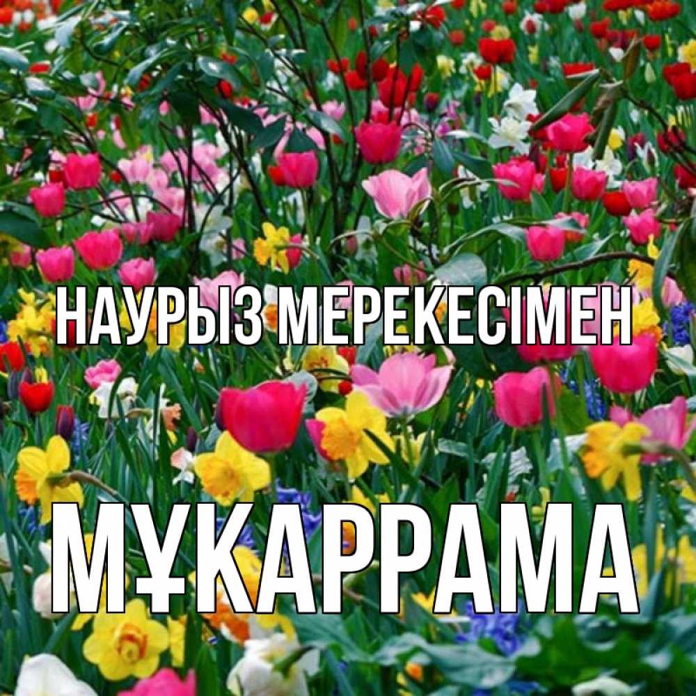Күн сайын ашық хат с именем, МҰКАРРАМА Наурыз мерекесімен с наурызом праздником весны поздравления для женщины Онлайн тегін жүктеп алу тілектері бар керемет карта 
