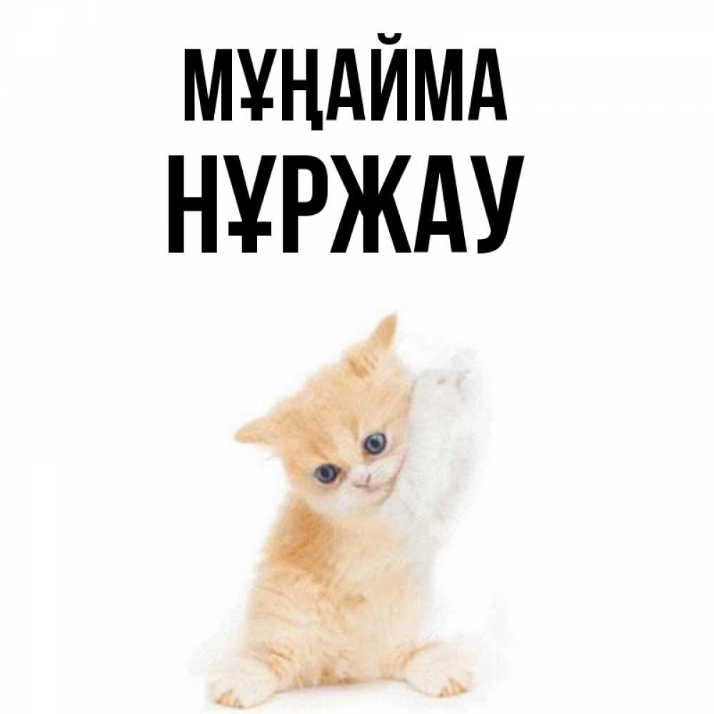 Күн сайын ашық хат с именем, НҰРЖАУ Мұңайма просящий кот Онлайн тегін жүктеп алу тілектері бар керемет карта 