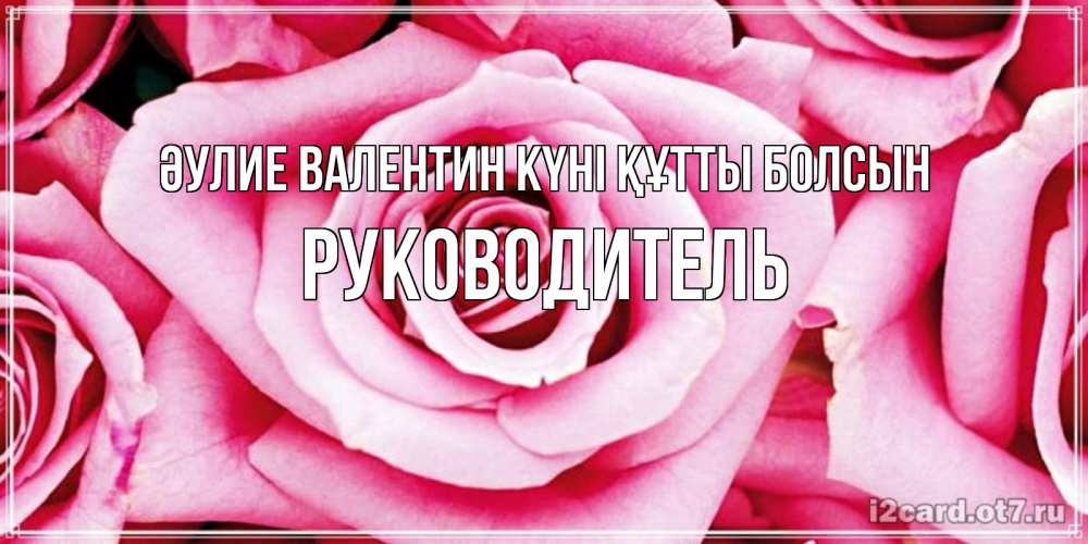 Күн сайын ашық хат с именем, Руководитель Әулие Валентин күні құтты болсын роза розовая на день Святого Валентина Онлайн тегін жүктеп алу тілектері бар керемет карта 