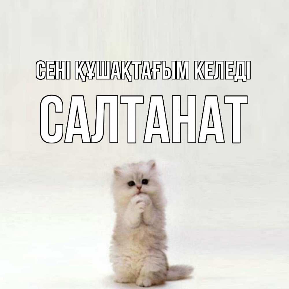 Күн сайын ашық хат с именем, САЛТАНАТ сені құшақтағым келеді открытки с креативными подписями Онлайн тегін жүктеп алу тілектері бар керемет карта 