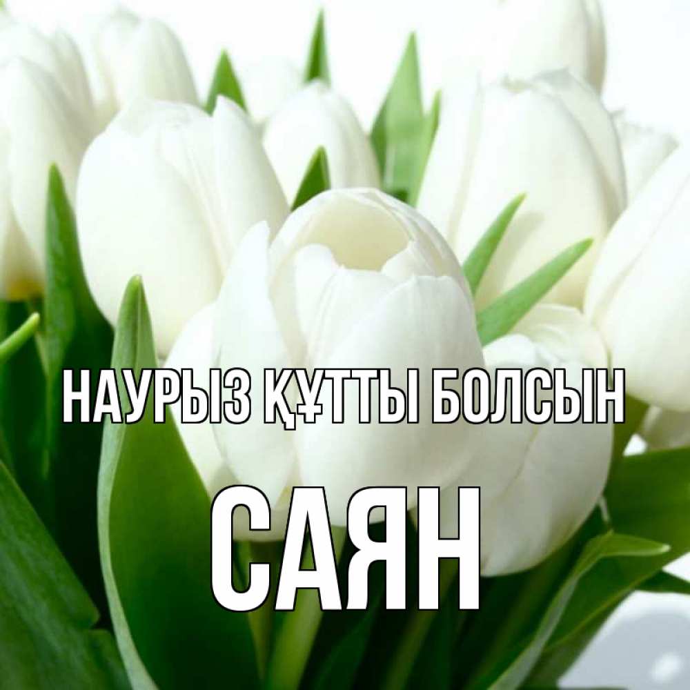 Күн сайын ашық хат с именем, САЯН Наурыз құтты болсын цветы Онлайн тегін жүктеп алу тілектері бар керемет карта 