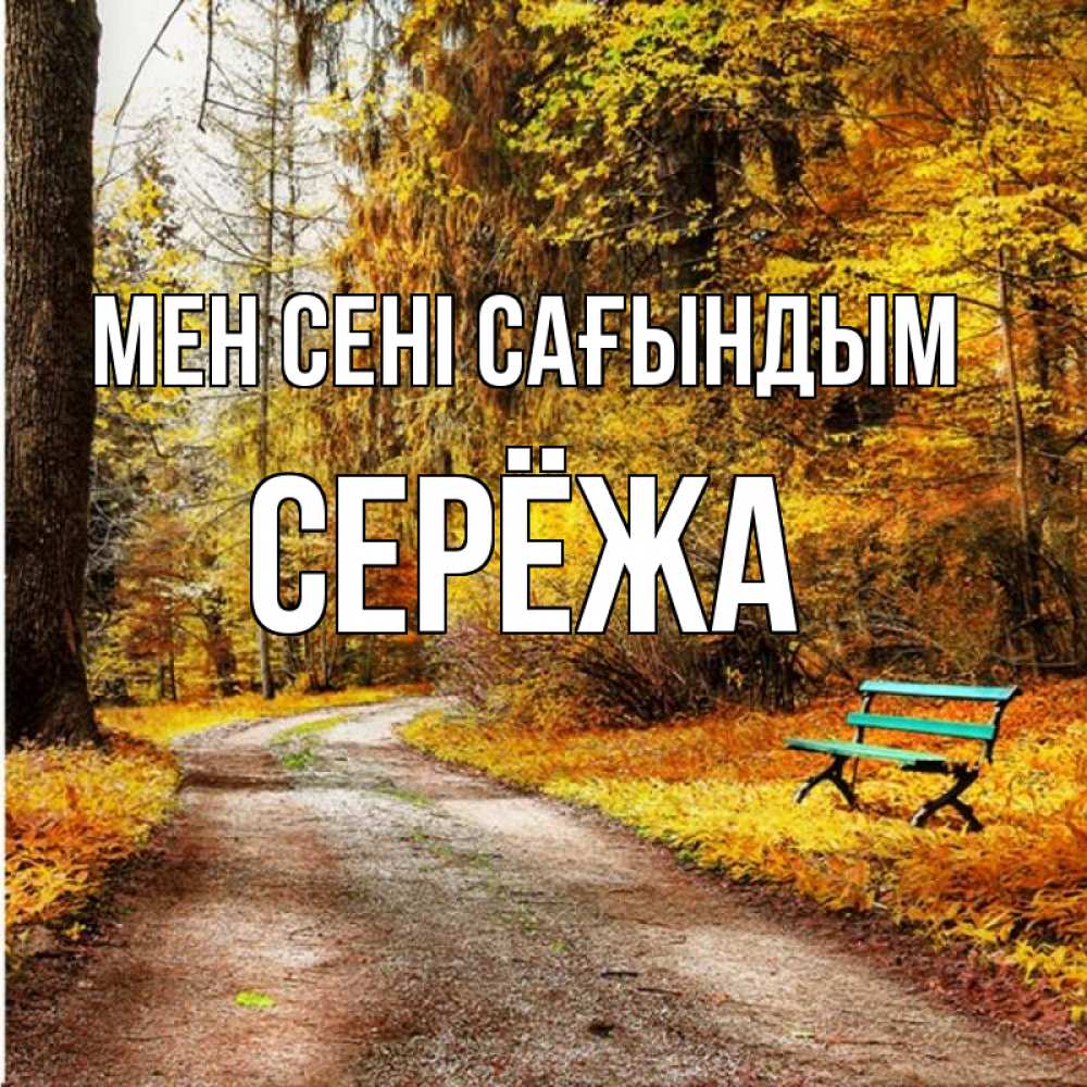 Күн сайын ашық хат с именем, Серёжа Мен сені сағындым зеленая лавочка и осенний лес Онлайн тегін жүктеп алу тілектері бар керемет карта 