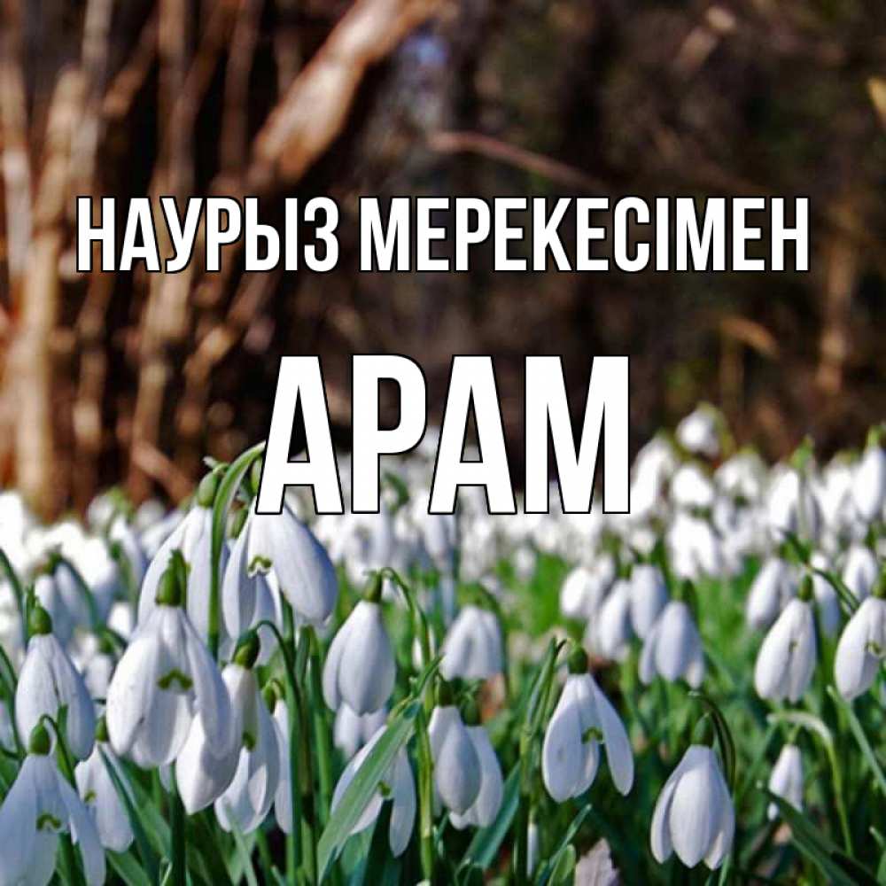 Күн сайын ашық хат с именем, Арам Наурыз мерекесімен с подснежниками 1 Онлайн тегін жүктеп алу тілектері бар керемет карта 