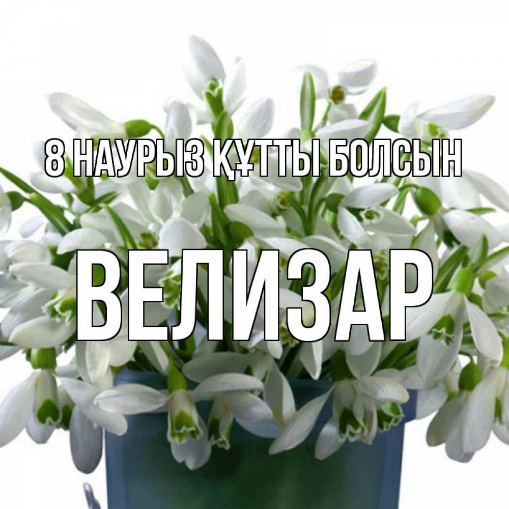 Күн сайын ашық хат с именем, Велизар 8 наурыз құтты болсын цветы к международному женскому дню Онлайн тегін жүктеп алу тілектері бар керемет карта 
