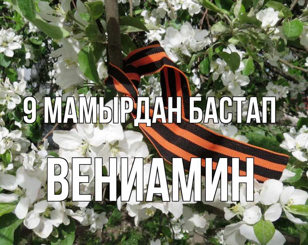Күн сайын ашық хат с именем, Вениамин 9 мамырдан бастап 9 мая Онлайн тегін жүктеп алу тілектері бар керемет карта 