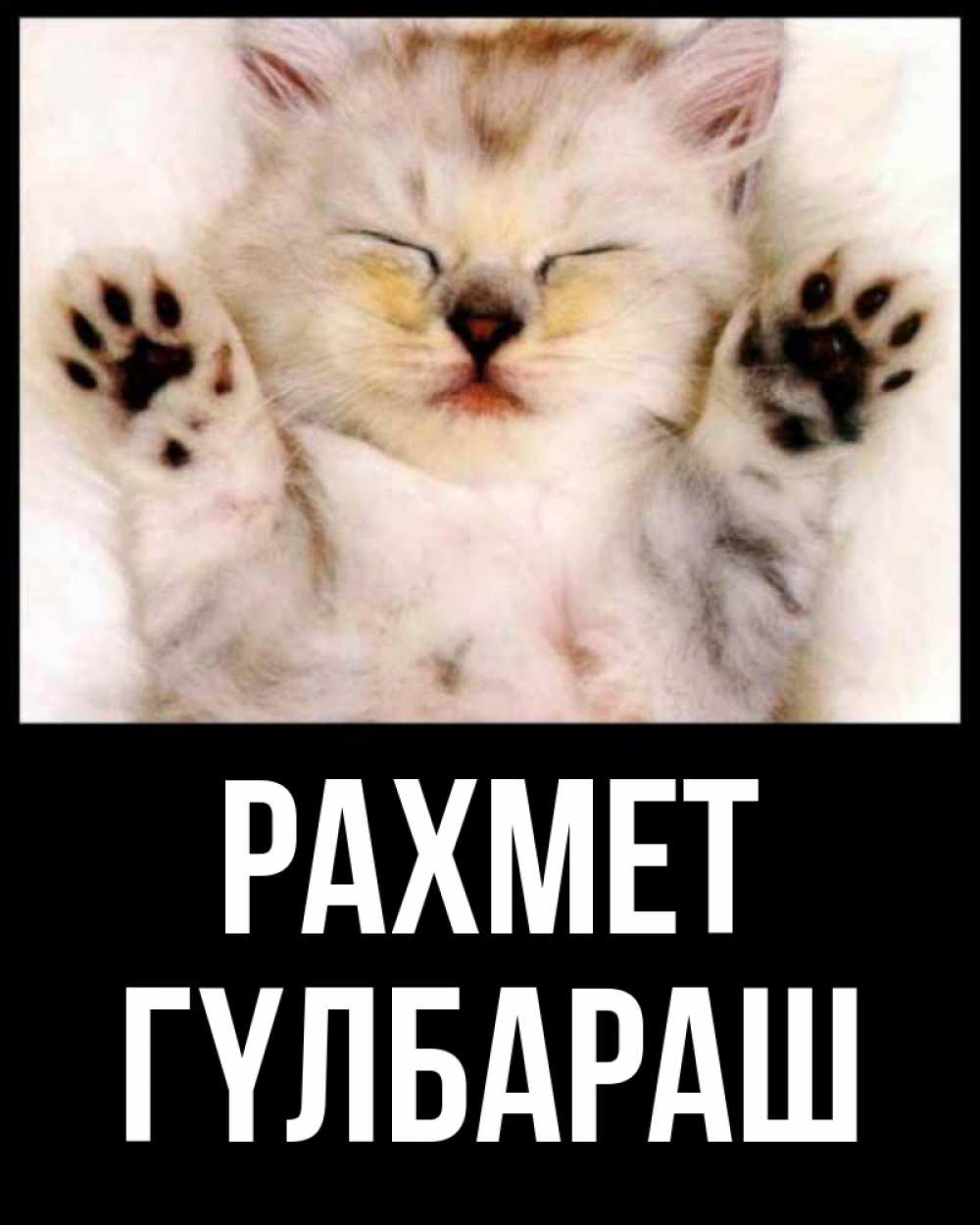 Күн сайын ашық хат с именем, ГҮЛБАРАШ рахмет маленький котенок Онлайн тегін жүктеп алу тілектері бар керемет карта 
