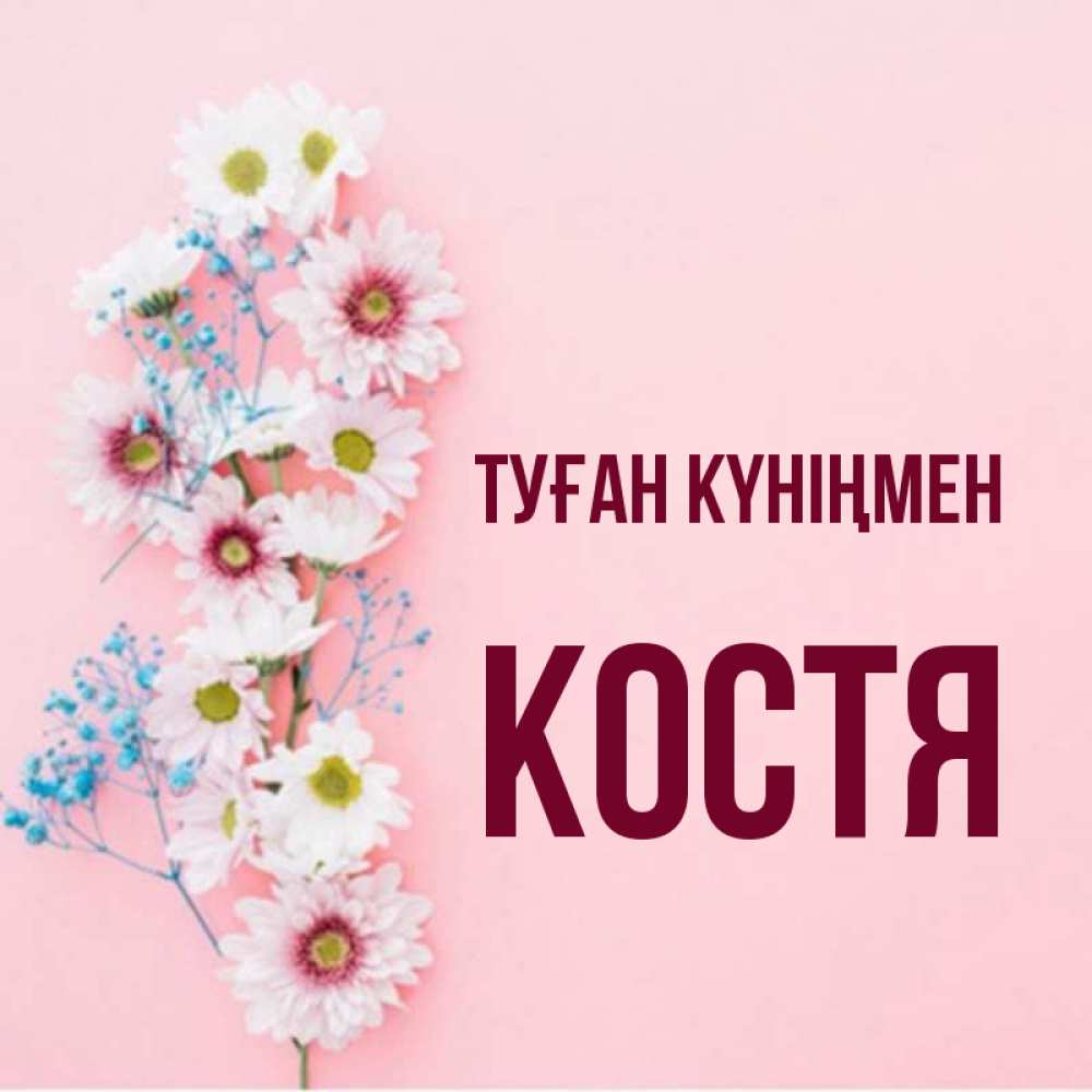 Күн сайын ашық хат с именем, Костя Туған күніңмен Родная моя с днем рождения тебя картинка с цветами белыми и голубыми Онлайн тегін жүктеп алу тілектері бар керемет карта 